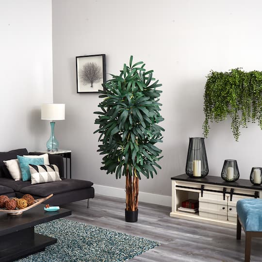 6ft. Potted Green Raphis Palm Tree